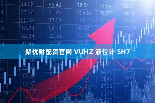 聚优财配资官网 VUHZ 液位计 SH7